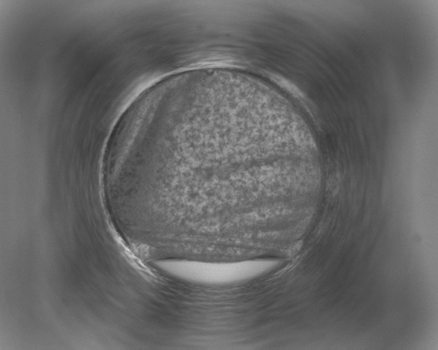 X0000080811423200701021304