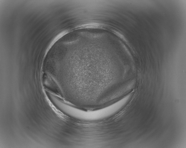 X0000080811426200701021304