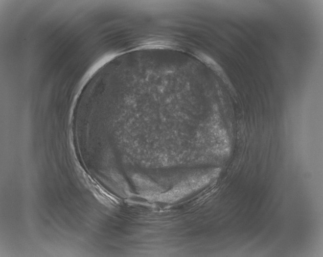 X0000080811427200701021304