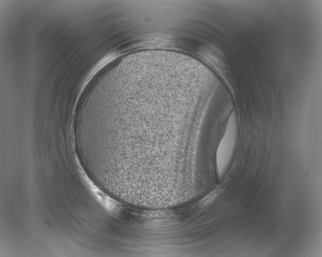X0000080811434200701021304