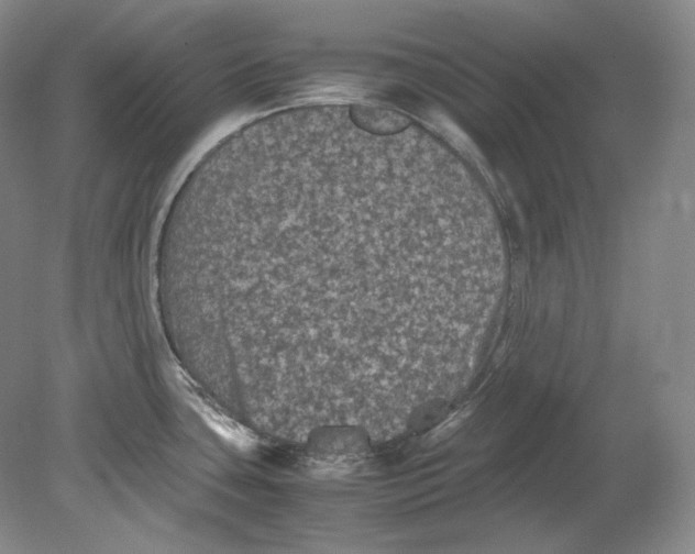 X0000080811435200701021304