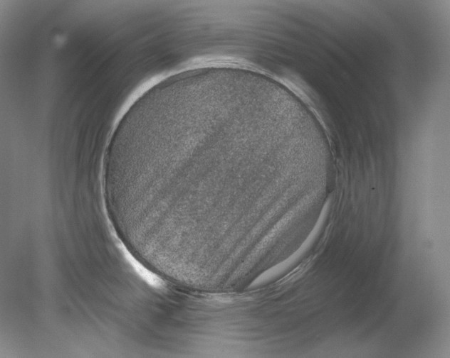 X0000080811438200701021304