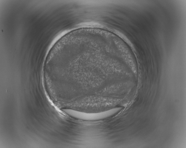 X0000080811440200701021304