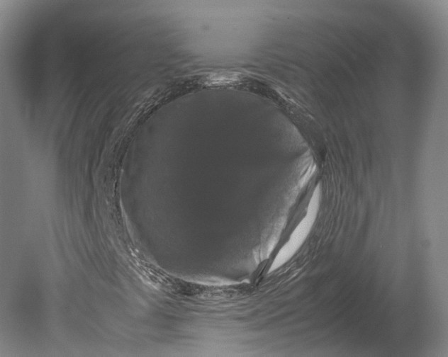 X0000080811441200701021303