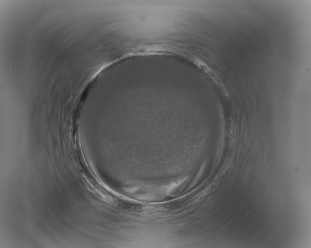 X0000080811449200701021303