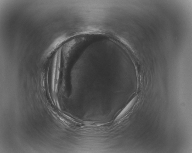 X0000080811455200701021303