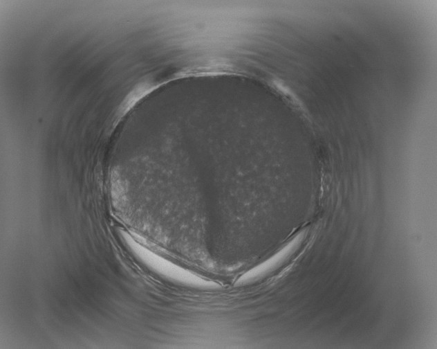 X0000080811457200701021303