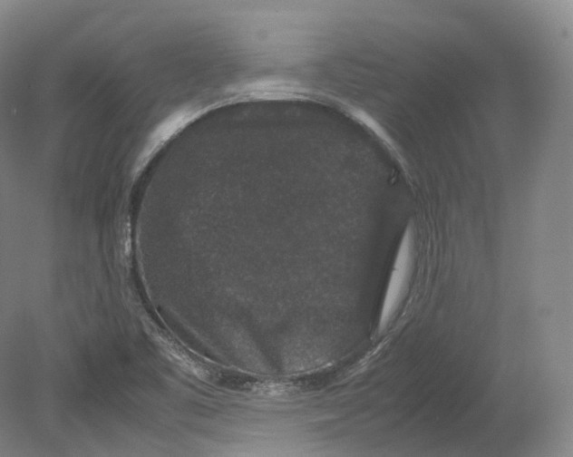 X0000080811461200701021303