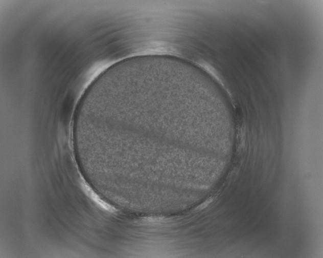 X0000080811468200701021303
