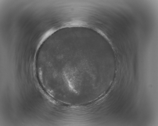 X0000080811469200701021303