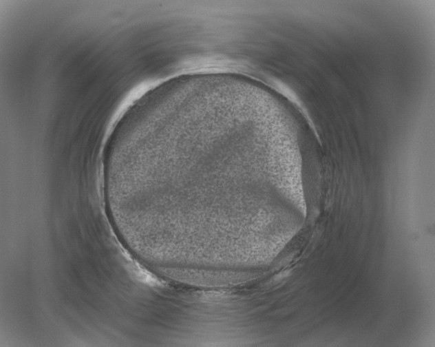 X0000080811472200701021303