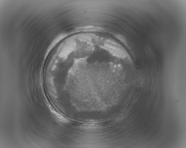X0000080811474200701021303