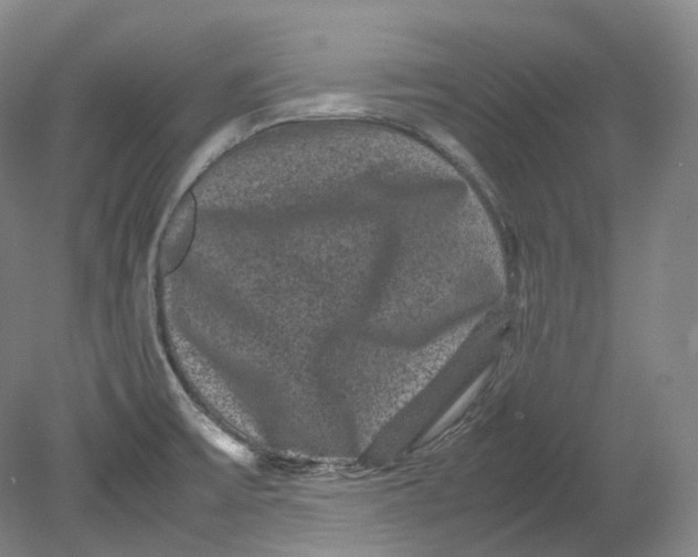 X0000080811475200701021303