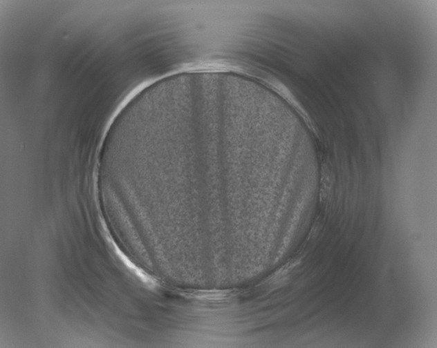 X0000080811484200701021303