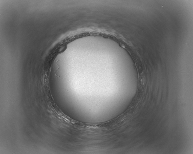 X0000080811495200701021302