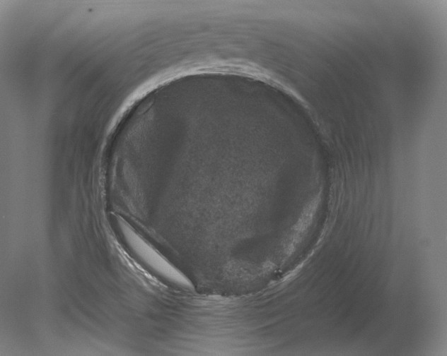 X0000080811506200701021302