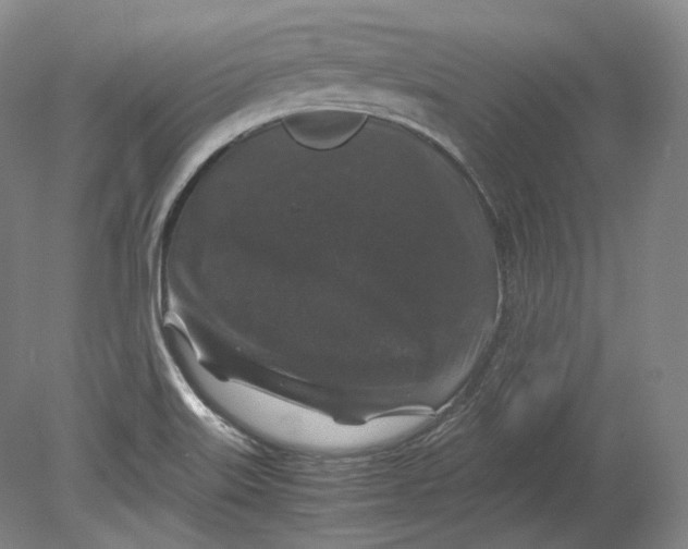 X0000080811515200701021302