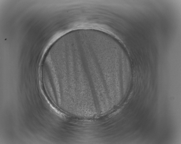X0000080811517200701021302