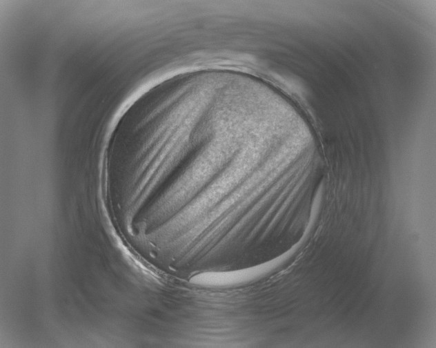 X0000080811520200701021302