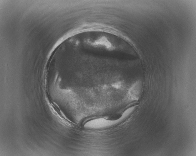 X0000080811522200701021302