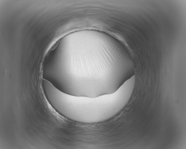 X0000080811524200701021302