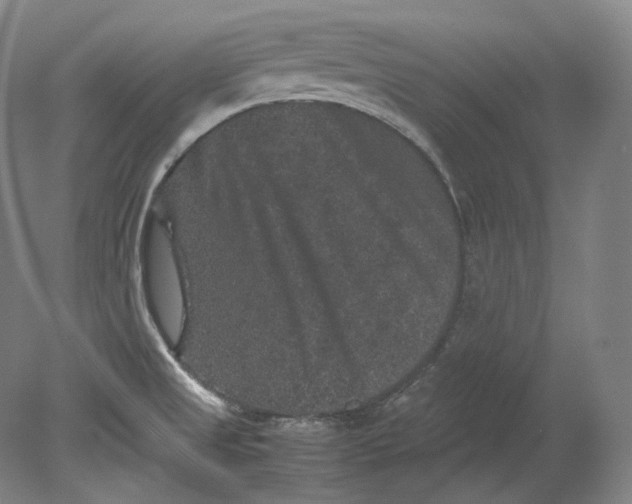X0000080811525200701021302