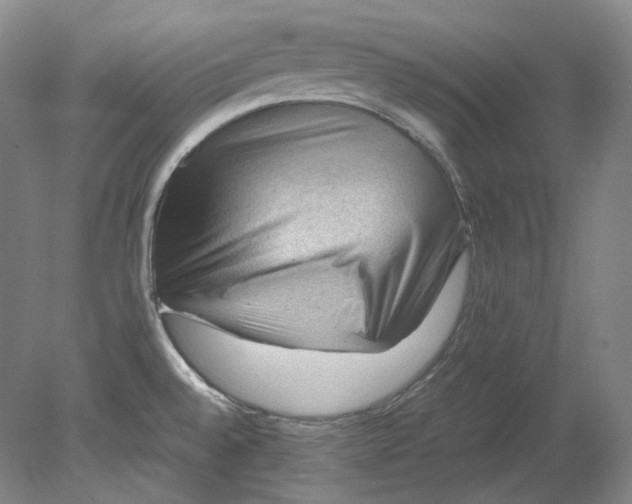 X0000080811528200701021302