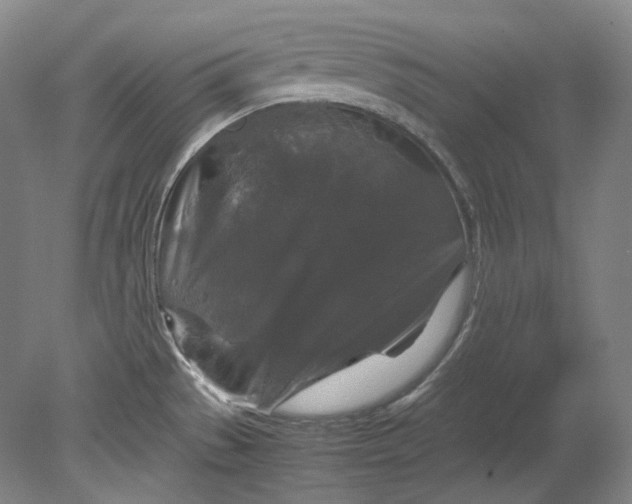 X0000080811529200701021302