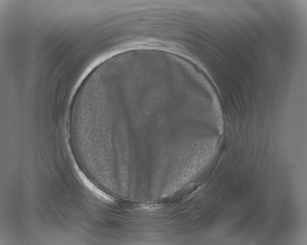 X0000080811531200701021303