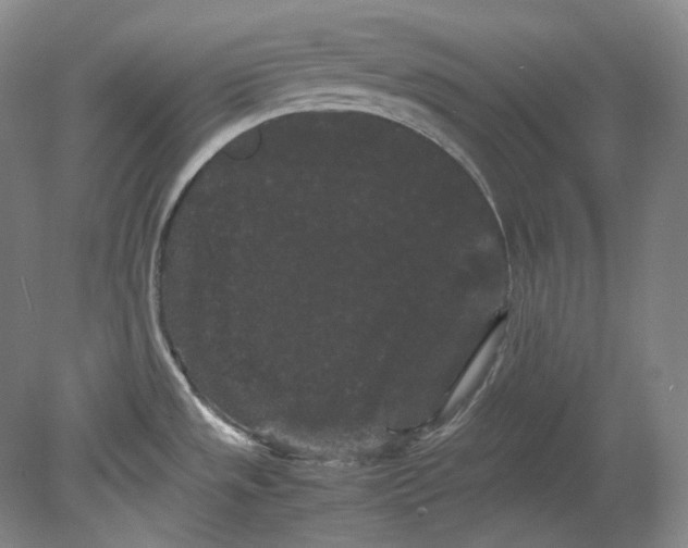 X0000080811533200701021303