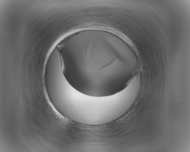 X0000080811536200701021303