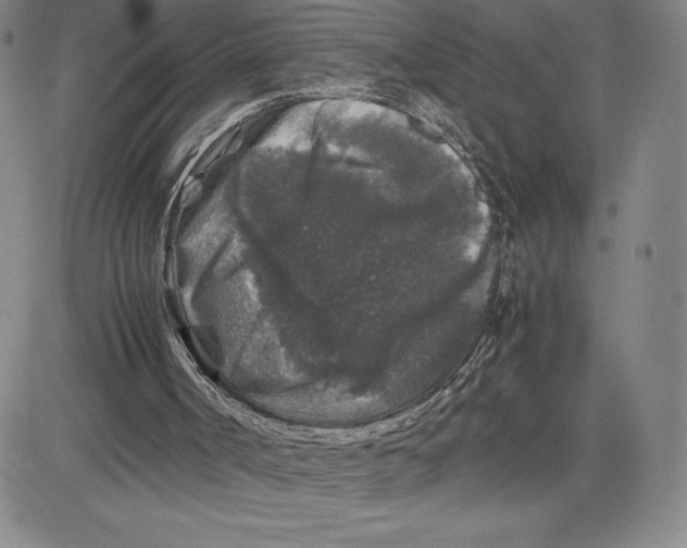 X0000080810002200701051202