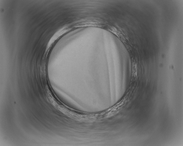 X0000080810004200701051201