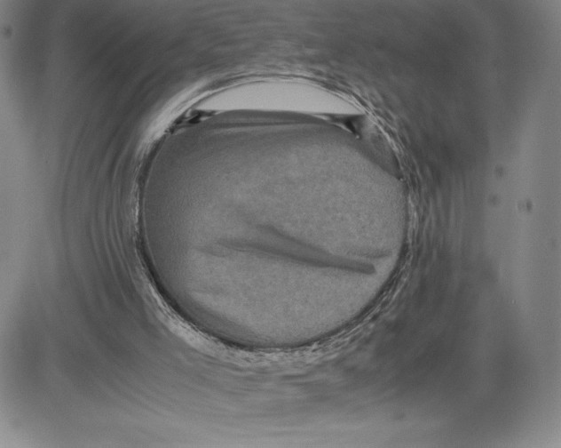 X0000080810005200701051201