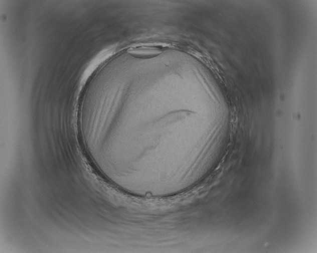 X0000080810006200701051201