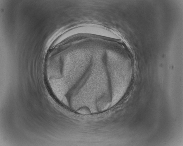 X0000080810007200701051201