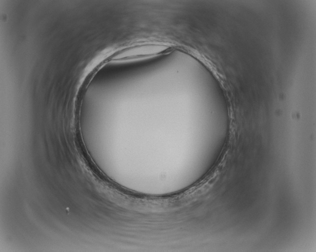 X0000080810008200701051201