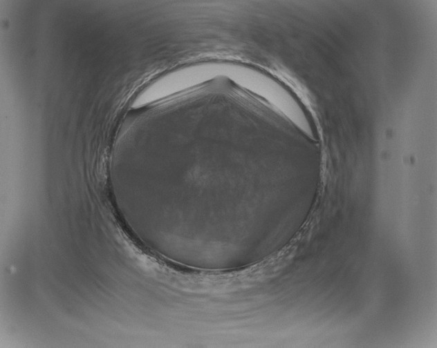 X0000080810009200701051201