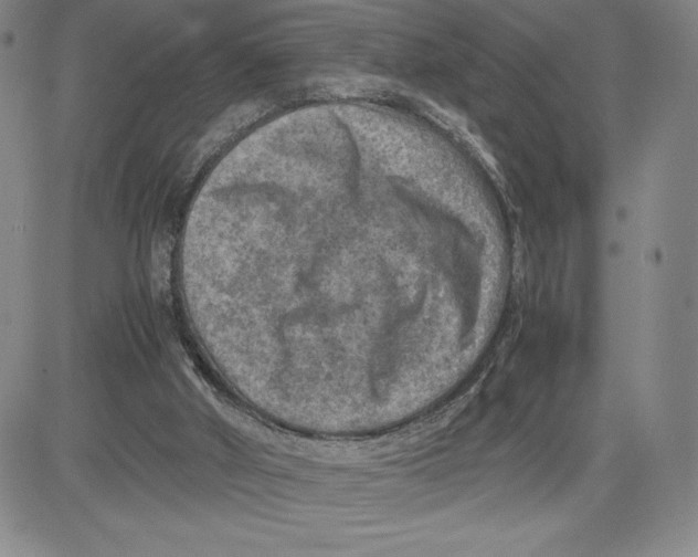 X0000080810010200701051201