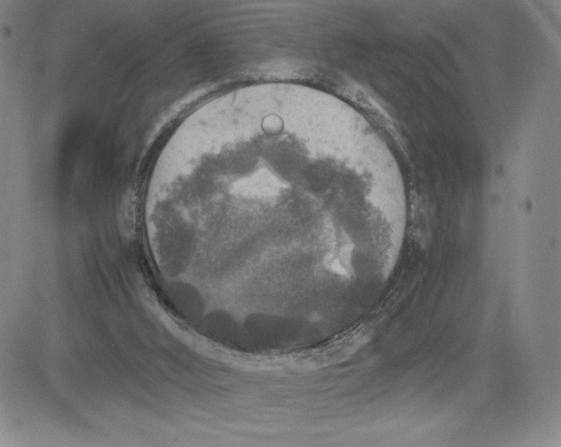 X0000080810012200701051201