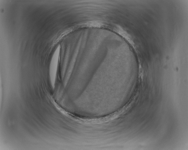 X0000080810013200701051201