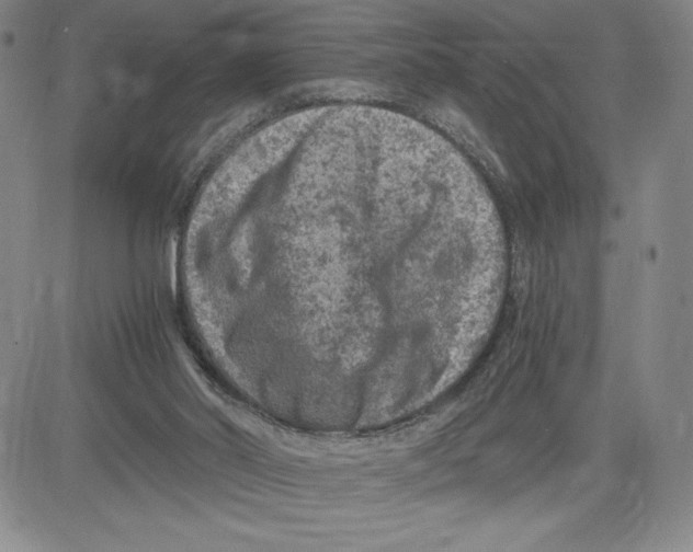 X0000080810014200701051201