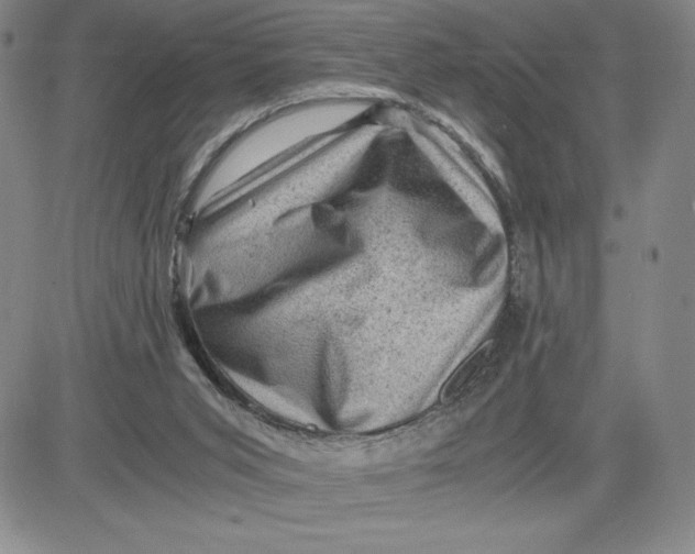 X0000080810015200701051201