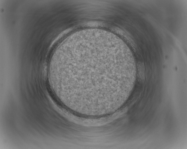 X0000080810016200701051201