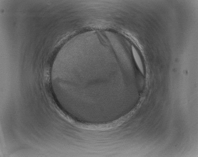 X0000080810017200701051201