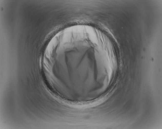 X0000080810019200701051201