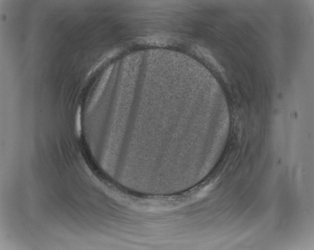 X0000080810020200701051201