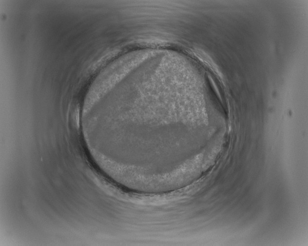 X0000080810021200701051201