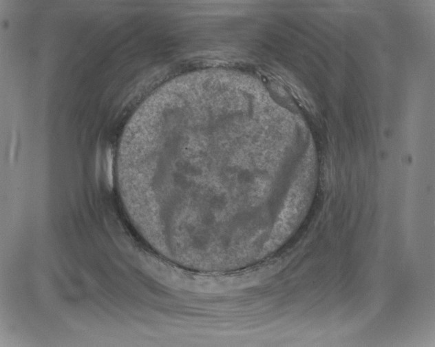 X0000080810022200701051201