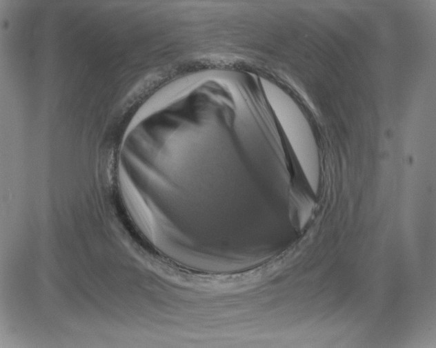 X0000080810023200701051201